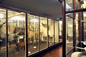 la specola zoologie 8-2017 0704